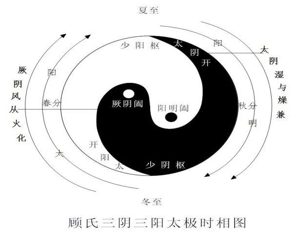 如果把肺(金)放到阴阳开阖枢太极图里去看,阳明燥金位于西方,此时阳气